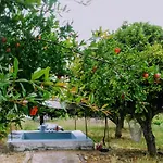 Linhal Meias - Sao Jose Matas