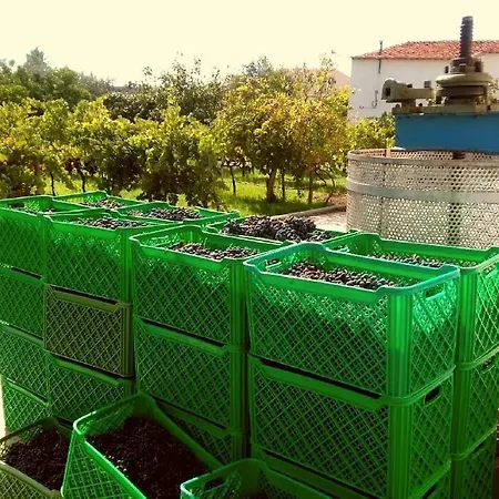 Linhal Meias - Sao Jose Matas Farm stay *