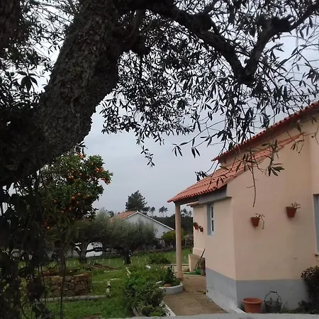 Feriegård Linhal Meias - Sao Jose Matas