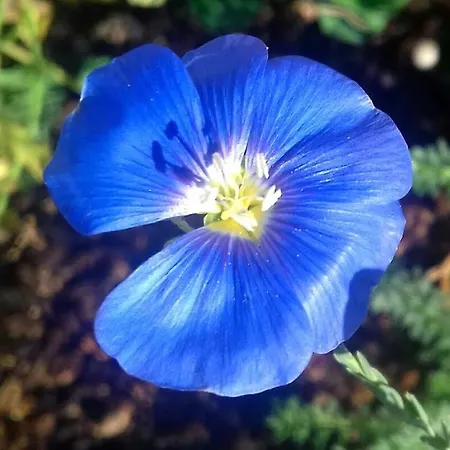 Фермерский дом Linhal Meias - Sao Jose Matas