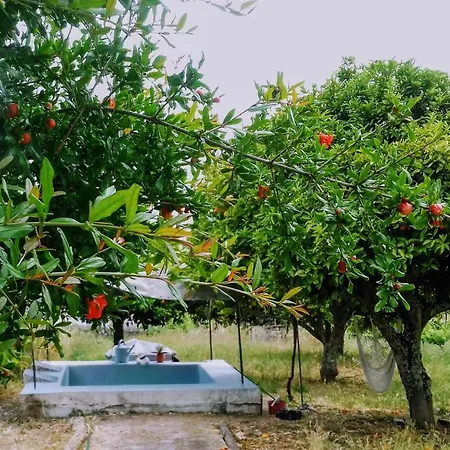 Linhal Meias - Sao Jose Matas