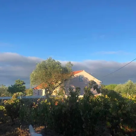 Linhal Meias - Sao Jose Matas Feriegård Envendos