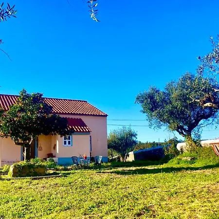 Linhal Meias - Sao Jose Matas Envendos
