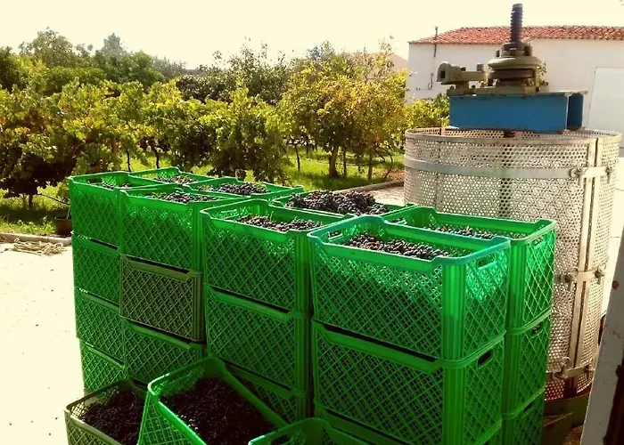 Linhal Meias - São José Matas Alloggio per agriturismo *