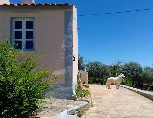 Linhal Meias - São José Matas Alloggio per agriturismo Envendos