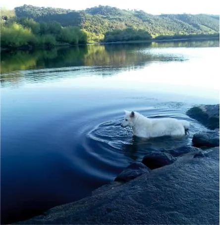 Linhal Meias - São José Matas Alloggio per agriturismo