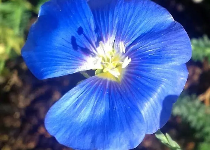 Alloggio per agriturismo Linhal Meias - São José Matas