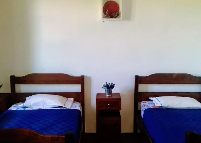 Linhal Meias - São José Matas *