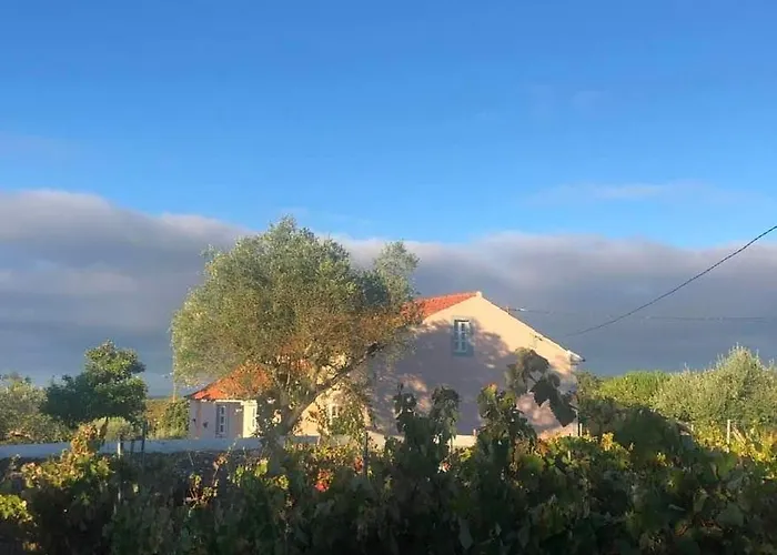 Linhal Meias - São José Matas Alloggio per agriturismo Envendos