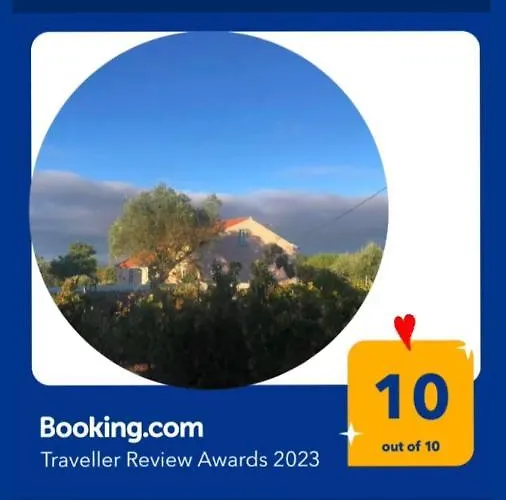 Linhal Meias - São José Matas